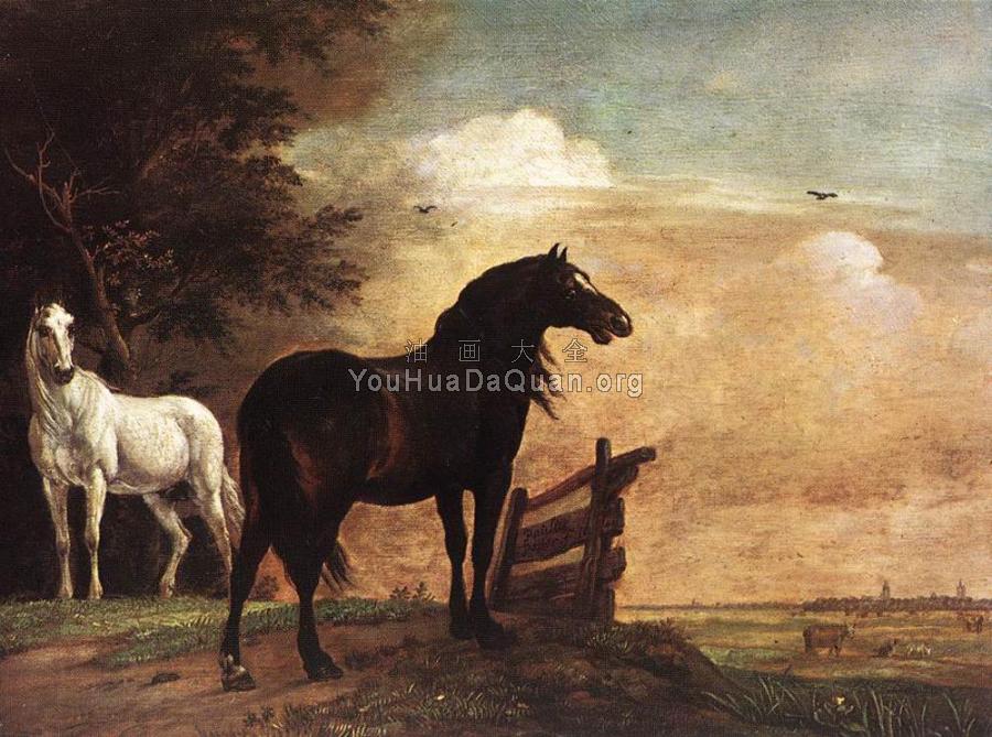 Horses In A Field - 派勒斯·波特